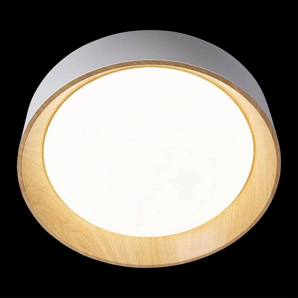 Светильник потолочный LOFT IT COIN 10202 White