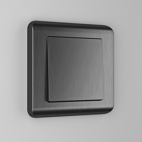 Переключатель 1-кл, графит рифленый, W1112004, WERKEL