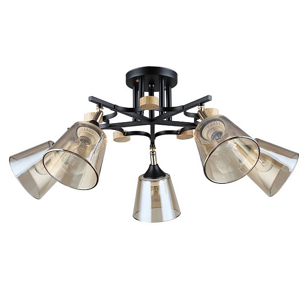 Люстра потолочная ARTE LAMP GLASSY A5078PL-5BK