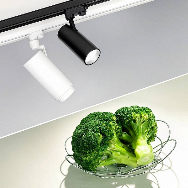 Трековый светильник ARLIGHT ZEUS FOOD 32449