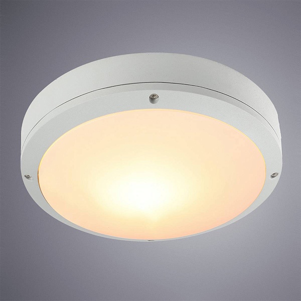 Светильник уличный потолочный ARTE LAMP City A8154PF-2WH
