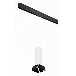 Трековый светильник LIGHTSTAR RULLO PRORP6496487