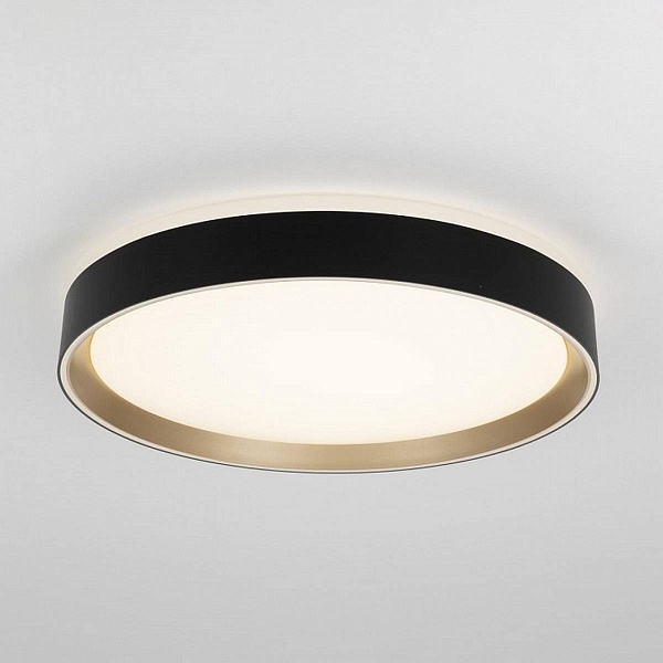 Светильник потолочный CITILUX BOSS CL751351G