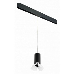 Трековый светильник LIGHTSTAR RULLO PRORP487436