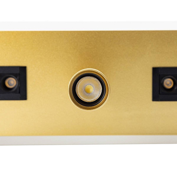 Спот ARTE LAMP PISCES A2220PL-3GO