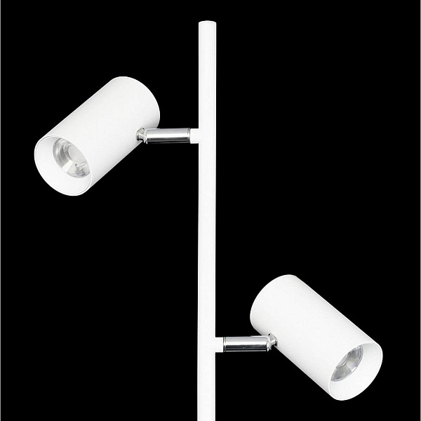Торшер CITILUX TWIN CL809010N