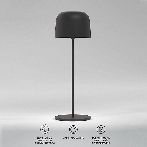 Настольная лампа ELEKTROSTANDARD BITTY a069002