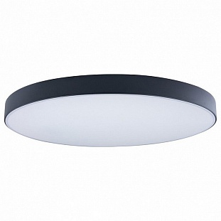 Светильник потолочный LOFT IT AXEL 1 10002/48 Black