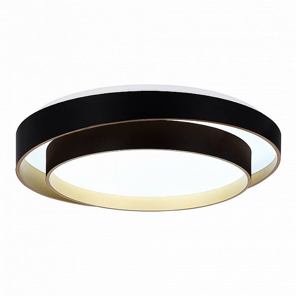 Светильник потолочный EVOLUCE CROSBY SLE6009-402-01