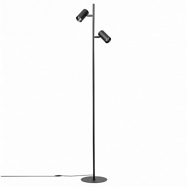 Торшер CITILUX TWIN CL809011N