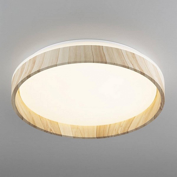 Светильник потолочный CITILUX ENZO CL753352G