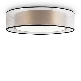 Светильник потолочный FREYA ZOTICUS FR6005CL-L36G