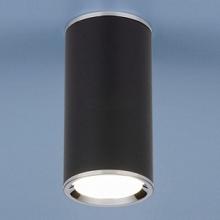 Спот ELEKTROSTANDARD DLN101 a043971