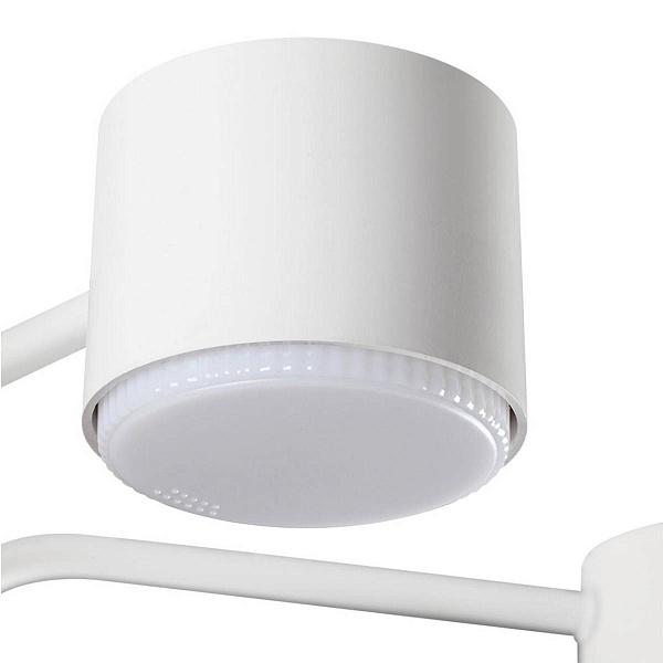 Люстра потолочная LUMION RONDO 8231/6C