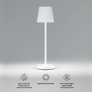 Настольная лампа ELEKTROSTANDARD MIST a063928