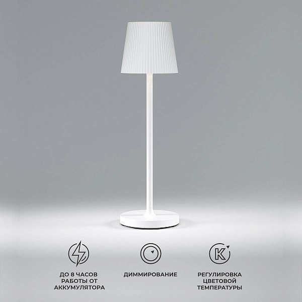 Настольная лампа ELEKTROSTANDARD MIST a063928