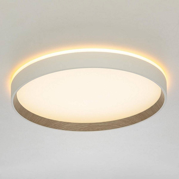 Светильник потолочный CITILUX ETALON CL750320R
