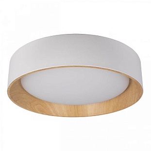 Светильник потолочный LOFT IT COIN 10202 White