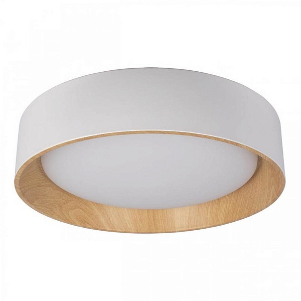 Светильник потолочный LOFT IT COIN 10202 White