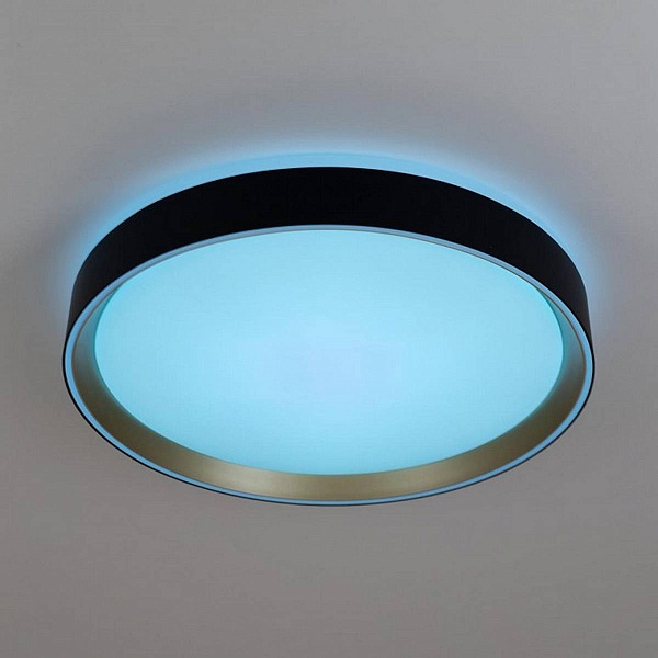 Светильник потолочный CITILUX BOSS CL751351G