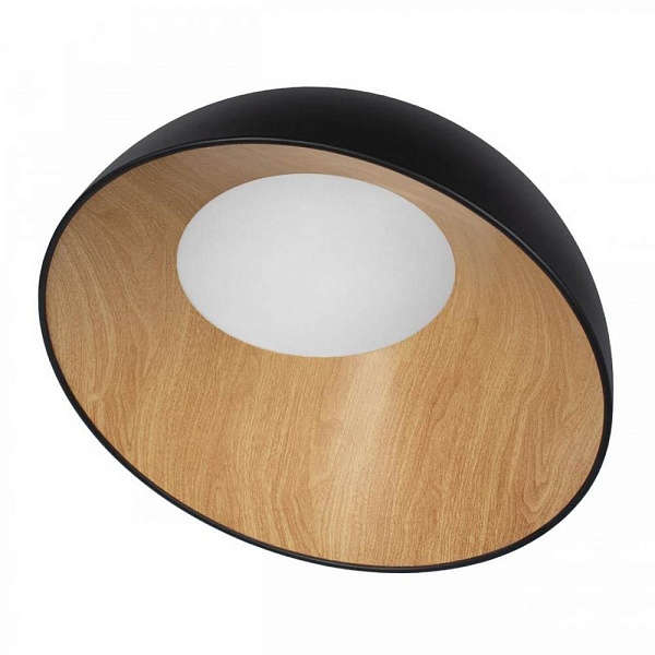 Светильник потолочный LOFT IT EGG 10197/500 Black