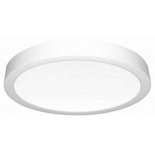 Светильник потолочный CITILUX ГАЛС CL5522N