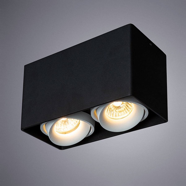 Спот ARTE LAMP PICTOR A5654PL-2BK