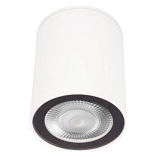 Спот LOFT IT RUSH 10344 White