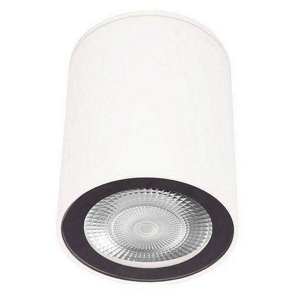 Спот LOFT IT RUSH 10344 White
