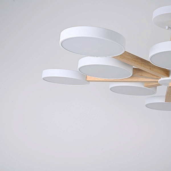 Люстра потолочная IMPERIUMLOFT TURNA-B 228850-26