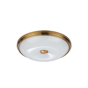 Светильник настенно-потолочный ODEON LIGHT PELOW 4956/4