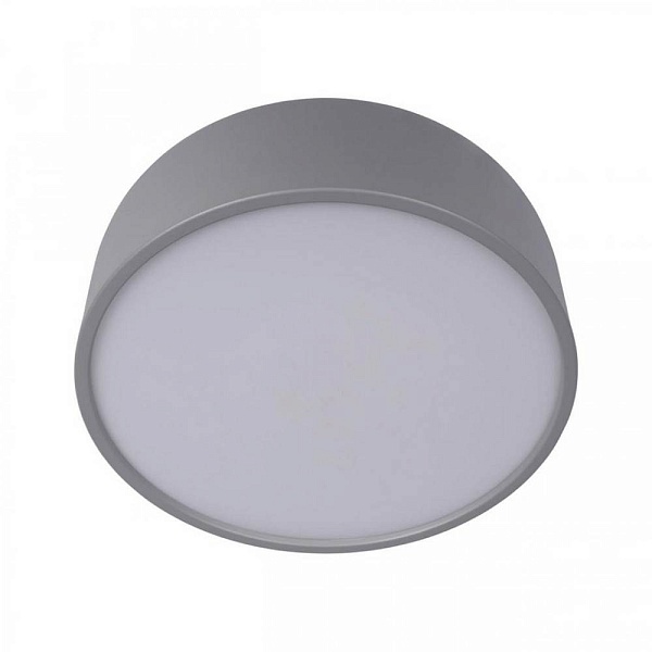 Светильник потолочный LOFT IT AXEL 10201/350 Grey