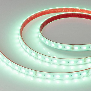 Лента LED RTW-PS-B60 19,2 W/m 24V IP67 5060/60 6000K 14mm (5м) 34186 ARLIGHT