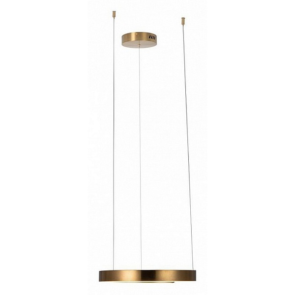 Подвес LOFT IT RING 10013S