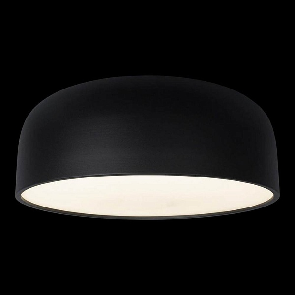 Светильник потолочный LOFT IT AXEL 10201/480 Black