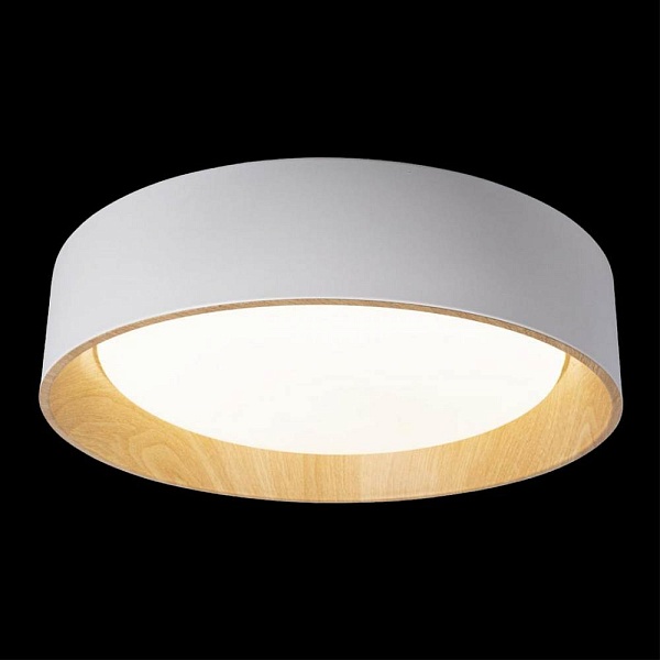 Светильник потолочный LOFT IT COIN 10202 White