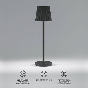 Настольная лампа ELEKTROSTANDARD MIST a063970