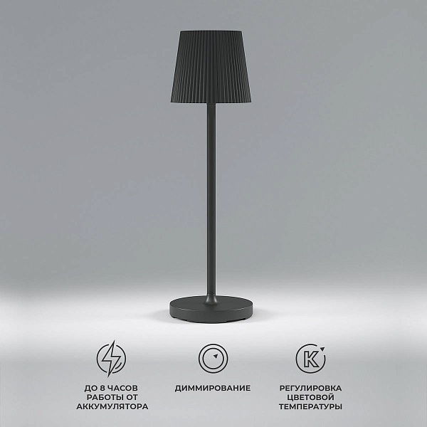 Настольная лампа ELEKTROSTANDARD MIST a063970