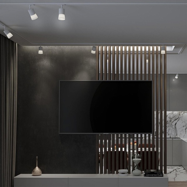Трековый светильник NOVOTECH ELINA 370903