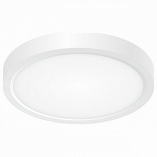 Светильник потолочный CITILUX БЕЙСИК CL738120N