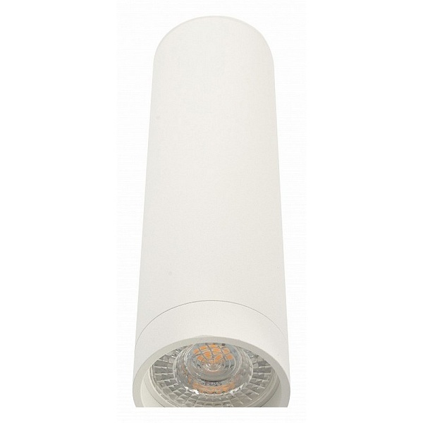 Спот DENKIRS DK2000 DK2052-WH