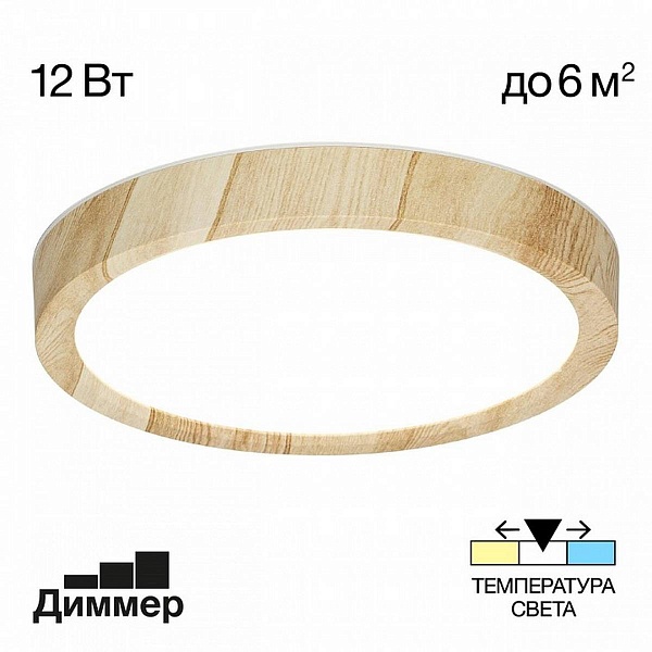 Светильник потолочный CITILUX БЕЙСИК CL738122N