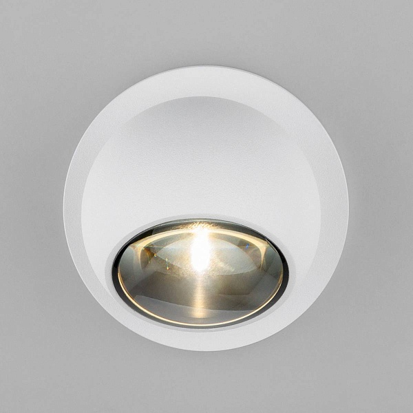 Прожектор ландшафтный ELEKTROSTANDARD BALL a057632