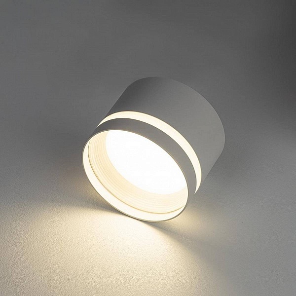 Спот CITILUX HARDY CL002C10