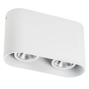 Спот LIGHTSTAR RULLO 214866