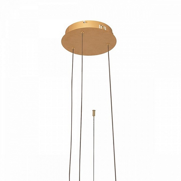Подвес LOFT IT RING 10017/3L