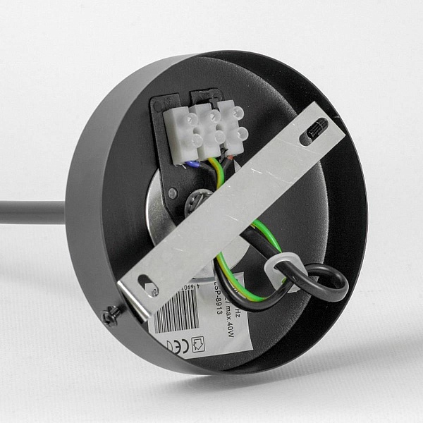Люстра потолочная LUSSOLE LSP-891 LSP-8913