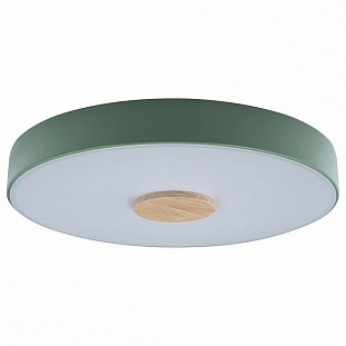 Светильник потолочный LOFT IT AXEL 2 10003/24 Green