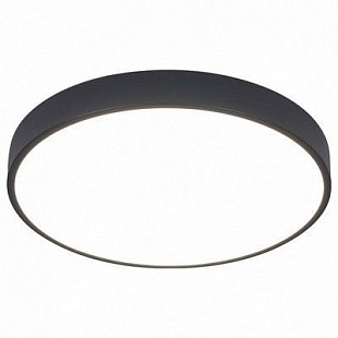 Светильник потолочный ARTE LAMP ARENA A2661PL-1BK