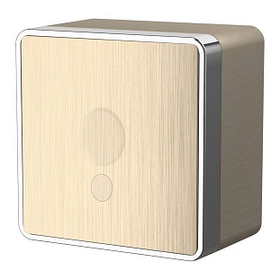 Вывод кабеля, GALLANT, шампань рифленый, W5050210, WERKEL